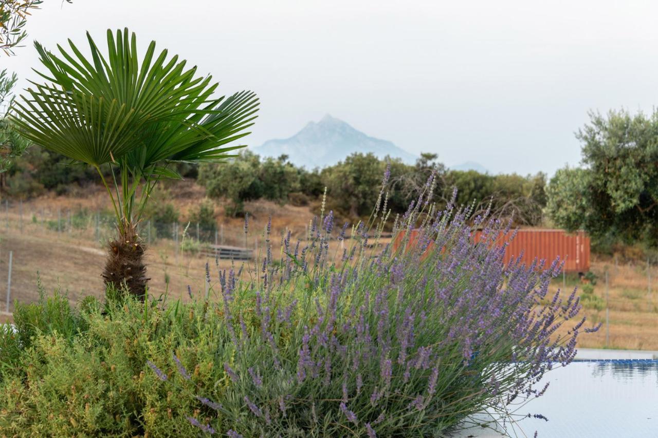 Afisia Villas Sarti Buitenkant foto